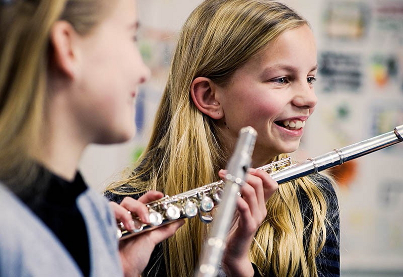 dwarsfluit les 809x557